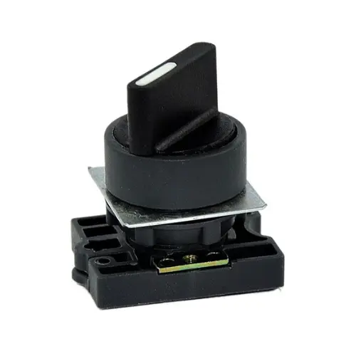 RCP2-BD3,3-POSITION SELECTOR SWITCH-C&S