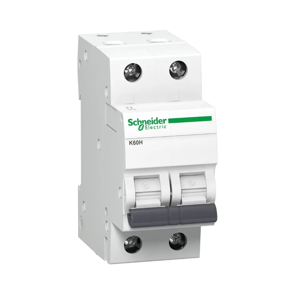 A9KF71202BQ,2A DP C CURVE MCB-SCHNEIDER