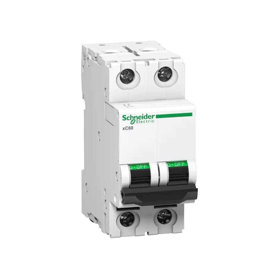 A9N2P40C,40A DP C CURVE MCB-SCHNEIDER