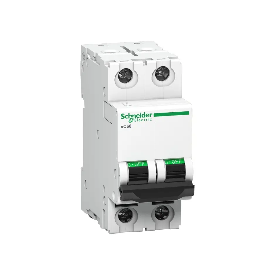 A9N2P63C,63A DP C CURVE MCB-SCHNEIDER