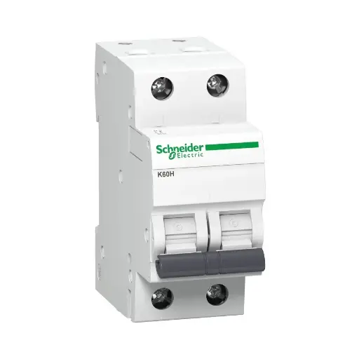 [SCHNEIDER] A9KF71202BQ,2A DP C CURVE MCB-SCHNEIDER