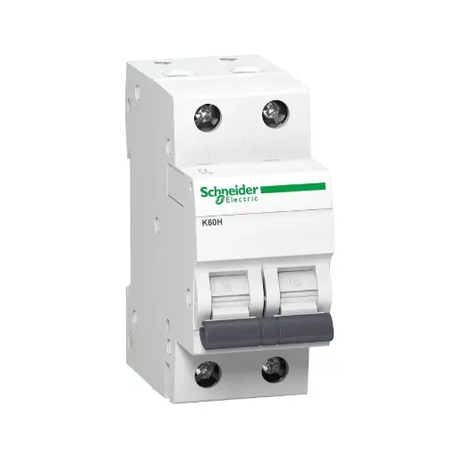 [SCHNEIDER] A9KF71204BQ,4A DP C CURVE MCB-SCHNEIDER