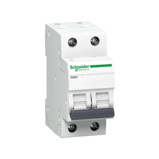 [SCHNEIDER] A9KF71206BQ,6A DP C CURVE MCB-SCHNEIDER