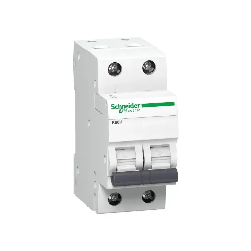 [SCHNEIDER] A9KF71210BQ,10A DP C CURVE MCB-SCHNEIDER