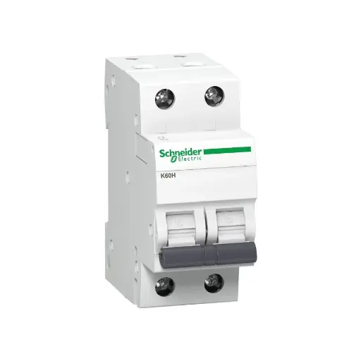 [SCHNEIDER] A9KF71232BQ,32A DP C CURVE MCB-SCHNEIDER