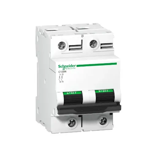 [SCHNEIDER] A9N18363,125A DP C CURVE MCB-SCHNEIDER