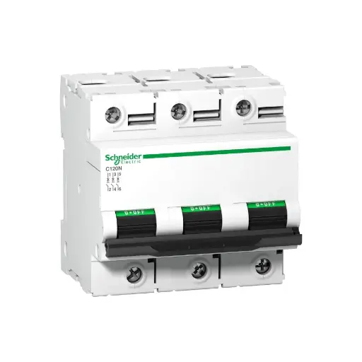 [SCHNEIDER] A9N18367,100A TP 10kA C CURVE MCB-SCHNEIDER