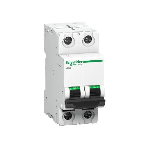 [SCHNEIDER] A9N2P06B,6A DP B CURVE MCB-SCHNEIDER
