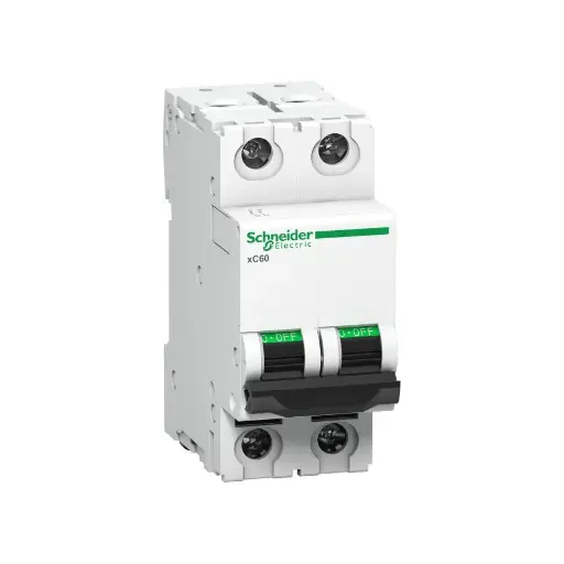 [SCHNEIDER] A9N2P06C,6A DP C CURVE MCB-SCHNEIDER