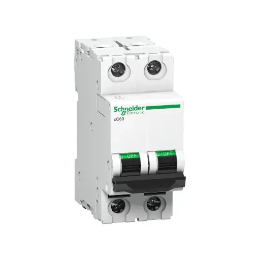[SCHNEIDER] A9N2P10C,10A DP C CURVE MCB-SCHNEIDER