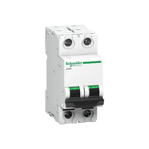 [SCHNEIDER] A9N2P25C,25A DP C CURVE MCB-SCHNEIDER