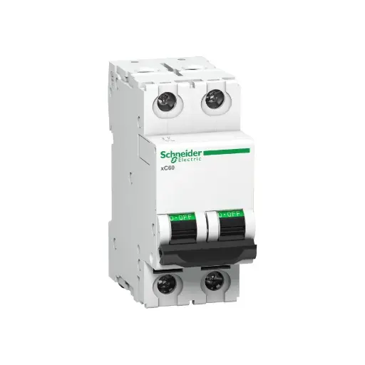 [SCHNEIDER] A9N2P32C,32A DP C CURVE MCB-SCHNEIDER