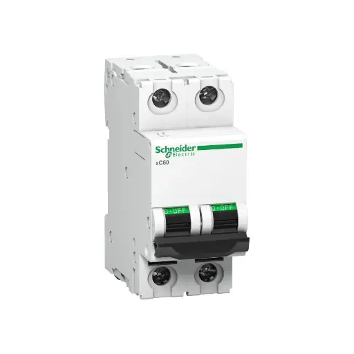 [SCHNEIDER] A9N2P50C,50A DP C CURVE MCB-SCHNEIDER