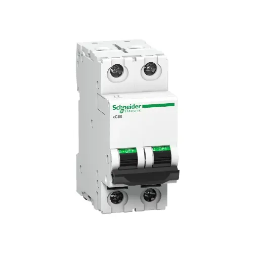 [SCHNEIDER] A9N2P50D,50A DP D CURVE MCB-SCHNEIDER