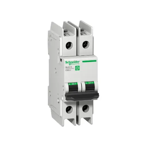 [SCHNEIDER] M9F42206,6A DP 10KA MULTI9 MCB-SCHNEIDER