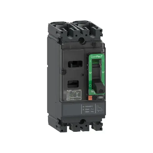 [SCHNEIDER] C10F2TM063,63A 2P 18KA NSX100F MCCB-SCHNEIDER