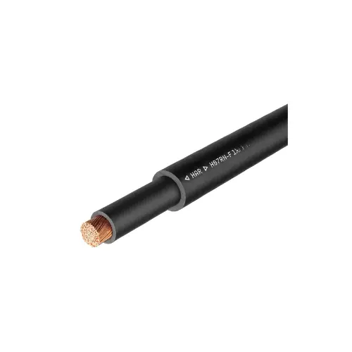 [LAPP KABLE] 1600194-NMC,H07RN-F 1X10